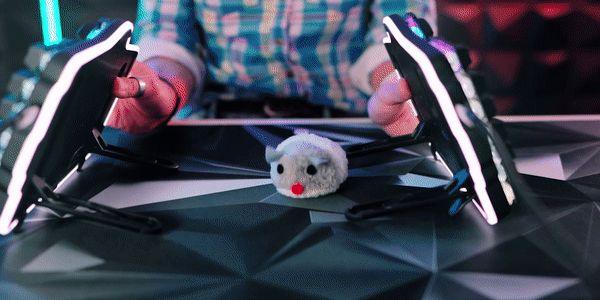 Mouse squish