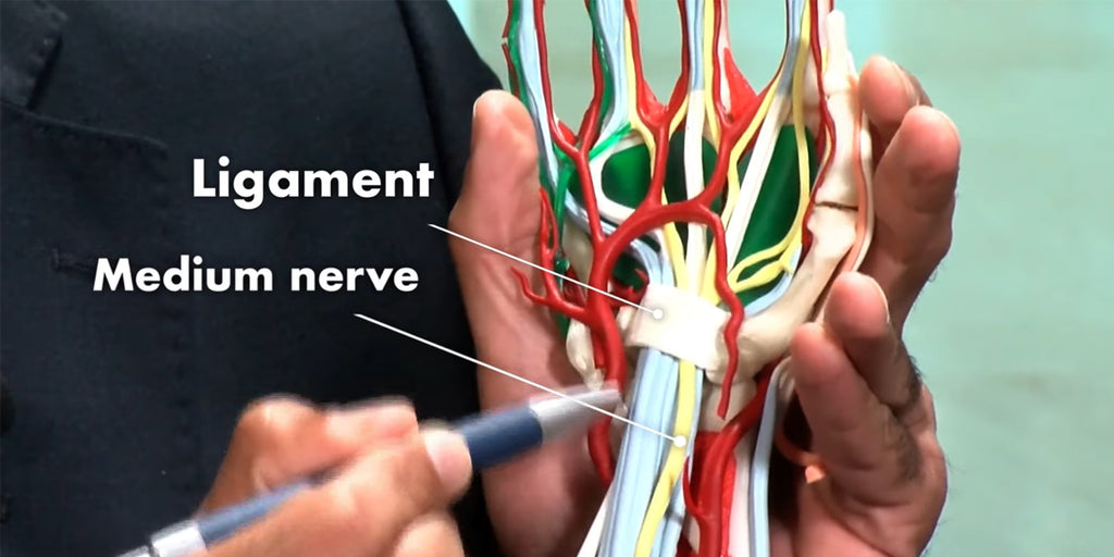 Carpal Tunnel Syndrome nerve